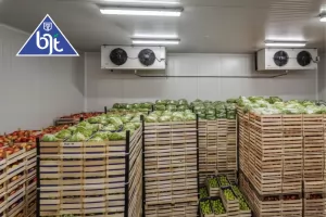 Coldroom BJT untuk Buah, Sayur, Daging, dan Produk Farmasi Anda